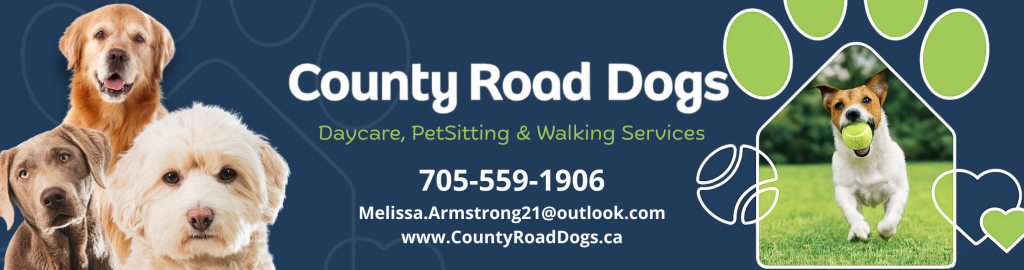 county road dogs, ptbo.online, dog walking, dog sitting, pet sitting